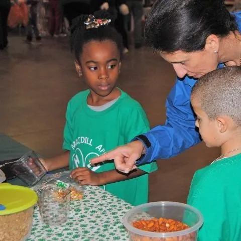 thumbnail for publication: School-Based 4-H Programming: Getting Started